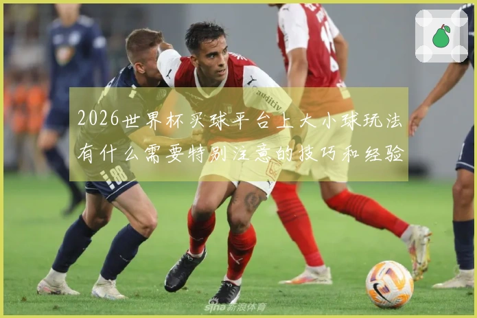 2026世界杯买球平台上大小球玩法有什么需要特别注意的技巧和经验？