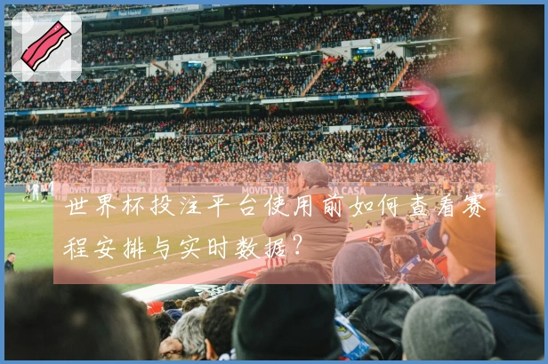 世界杯投注平台使用前如何查看赛程安排与实时数据？