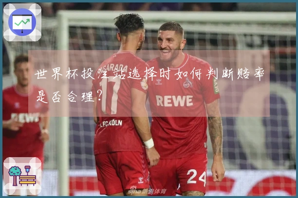 世界杯投注站选择时如何判断赔率是否合理？