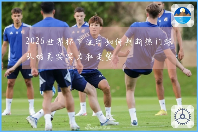 2026世界杯下注时如何判断热门球队的真实实力和走势