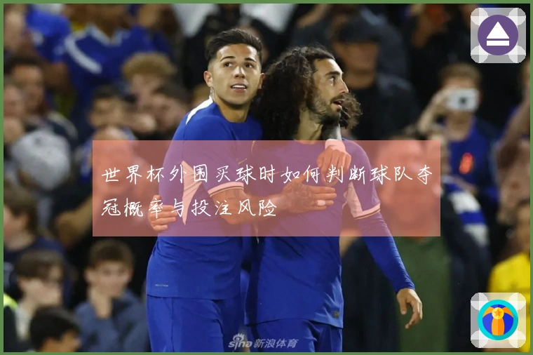 世界杯外围买球时如何判断球队夺冠概率与投注风险