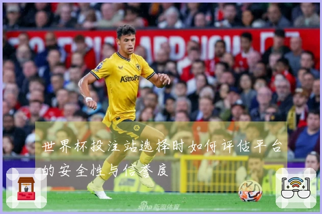 世界杯投注站选择时如何评估平台的安全性与信誉度