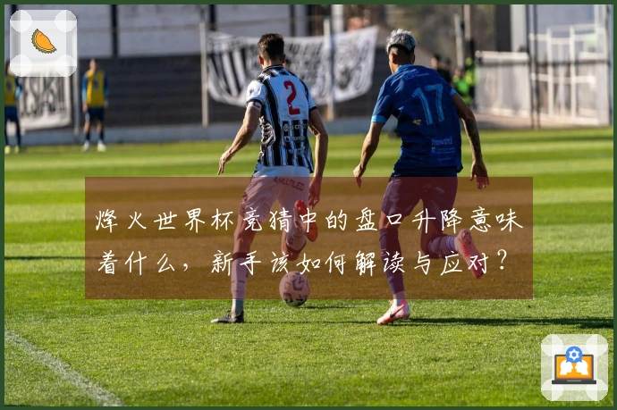 烽火世界杯竞猜中的盘口升降意味着什么，新手该如何解读与应对？
