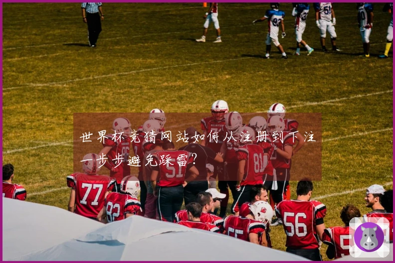 世界杯竞猜网站如何从注册到下注一步步避免踩雷?