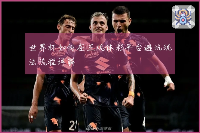 世界杯如何在正规体彩平台避坑玩法流程详解