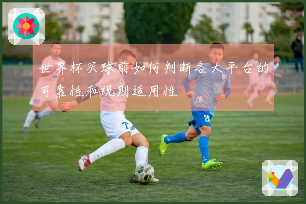 世界杯买球前如何判断各大平台的可靠性和规则适用性