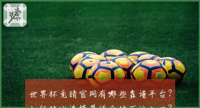 世界杯竞猜官网有哪些靠谱平台？如何对比选择最适合的下注入口？