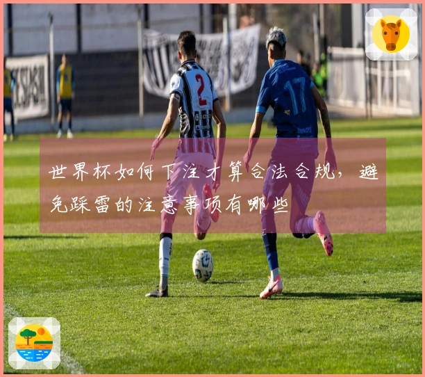 世界杯如何下注才算合法合规，避免踩雷的注意事项有哪些