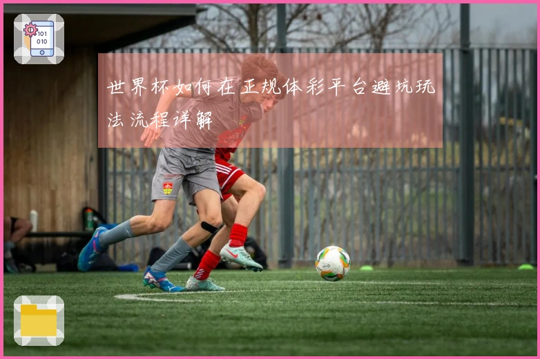 世界杯如何在正规体彩平台避坑玩法流程详解