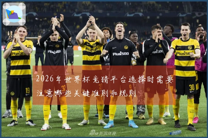 2026年世界杯竞猜平台选择时需要注意哪些关键准则和规则