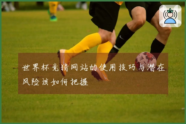 世界杯竞猜网站的使用技巧与潜在风险该如何把握