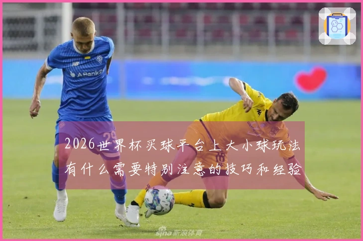 2026世界杯买球平台上大小球玩法有什么需要特别注意的技巧和经验？