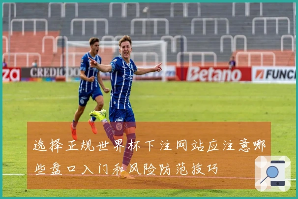 选择正规世界杯下注网站应注意哪些盘口入门和风险防范技巧