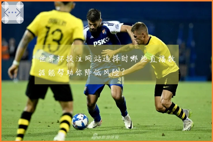 世界杯投注网站选择时哪些直播数据能帮助你降低风险？