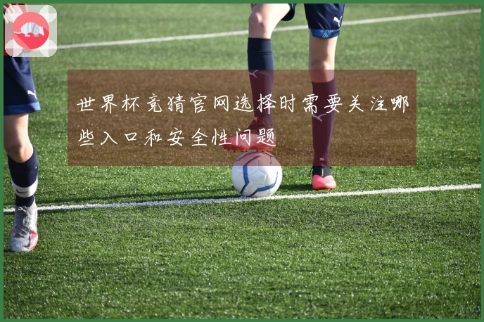 世界杯竞猜官网选择时需要关注哪些入口和安全性问题
