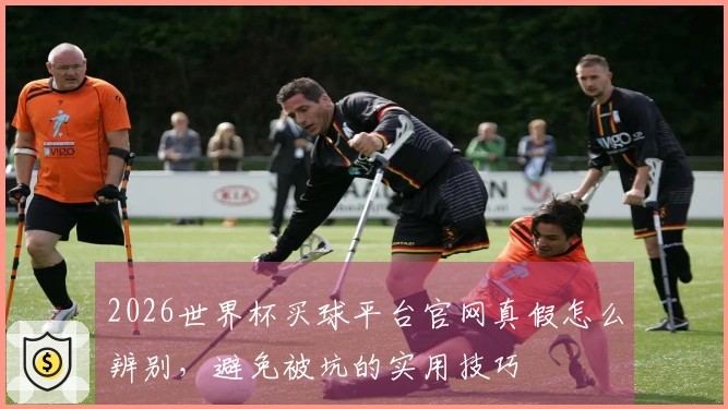 2026世界杯买球平台官网真假怎么辨别，避免被坑的实用技巧