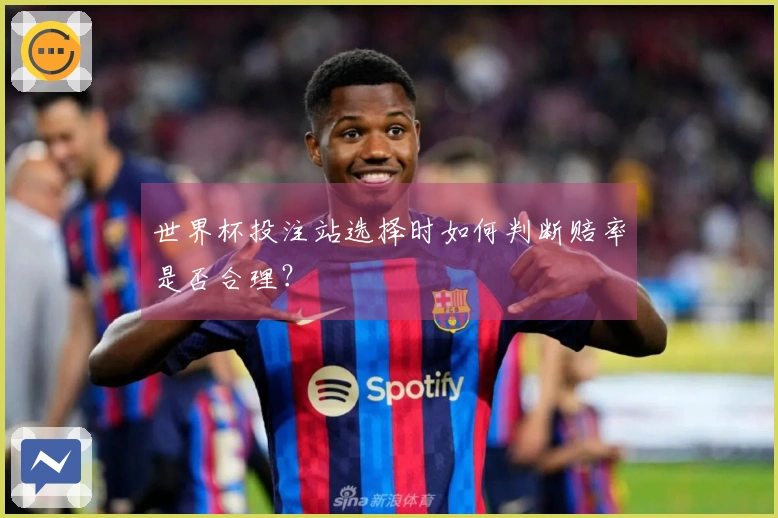 世界杯投注站选择时如何判断赔率是否合理？