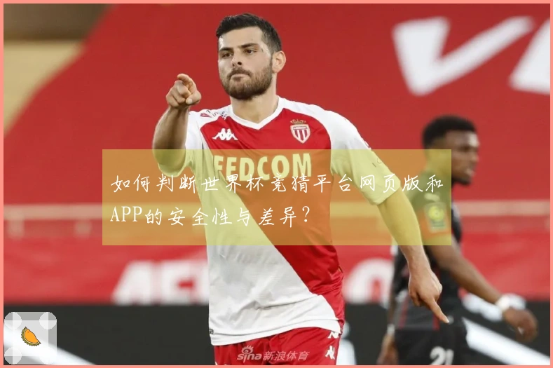 如何判断世界杯竞猜平台网页版和APP的安全性与差异？