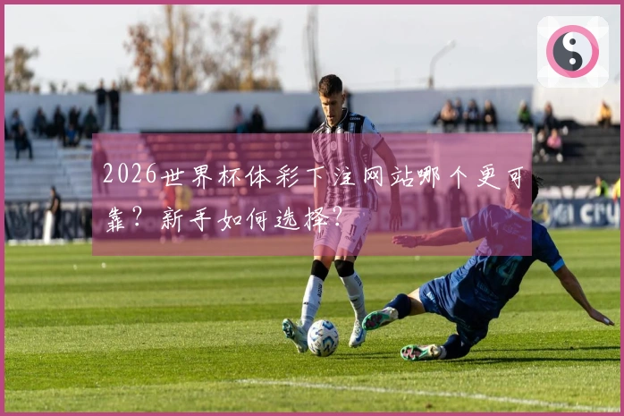 2026世界杯体彩下注网站哪个更可靠？新手如何选择？