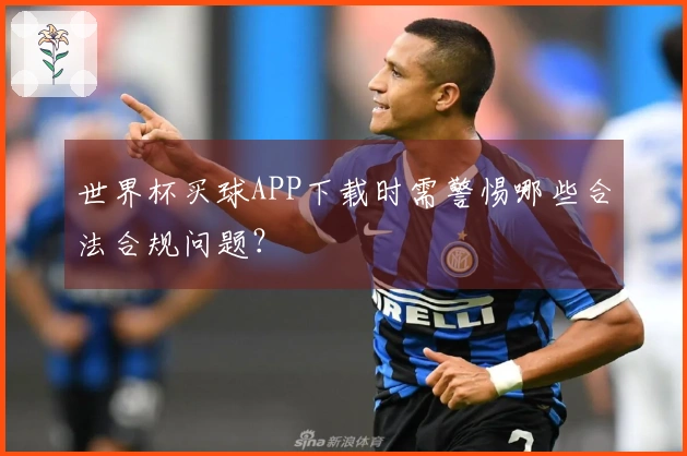 世界杯买球APP下载时需警惕哪些合法合规问题？