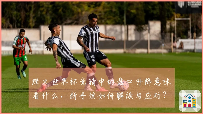 烽火世界杯竞猜中的盘口升降意味着什么，新手该如何解读与应对？